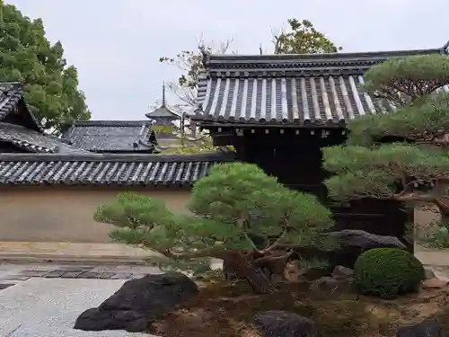 観智院（東寺子院）(京都府)