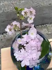 札幌諏訪神社の自然