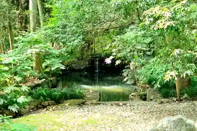 武蔵一宮氷川神社(埼玉県)