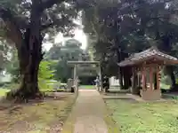 熊野神社(千葉県)