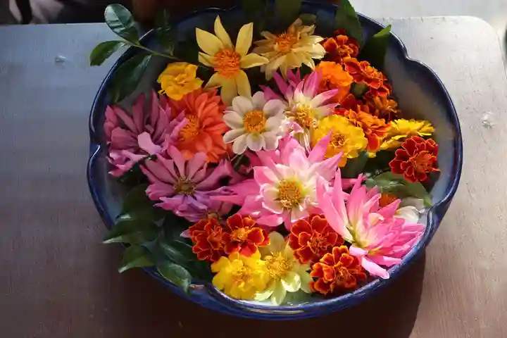 二尊院(京都府)