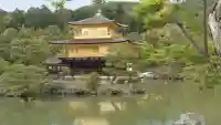 鹿苑寺(金閣寺)の{uncategorized: "未分類", other: "その他", undefined: "問題あり", building: "その他建物", grave: "お墓", sacred_gate: "鳥居", guardian: "狛犬", statue: "像", buddha: "仏像", history: "歴史", nature: "自然", garden: "庭園", animal: "動物", pagoda: "塔", temizu: "手水舎", mountain_gate: "山門・神門", sanctuary: "本殿・本堂", subordinate: "末社・摂社", art: "芸術", scenery: "景色", jizo: "地蔵", ema: "絵馬", goshuin: "御朱印", omikuji: "おみくじ", items: "授与品その他", amulet: "お守り", goshuincho: "御朱印帳", eats: "食事", festival: "お祭り", votive_dance: "神楽", shichigosan: "七五三参", wedding: "結婚式", experience: "体験その他", initially: "初詣", around: "周辺", anti_infection: "感染症対策"}