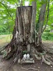 帯廣神社の自然