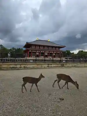 興福寺(奈良県)