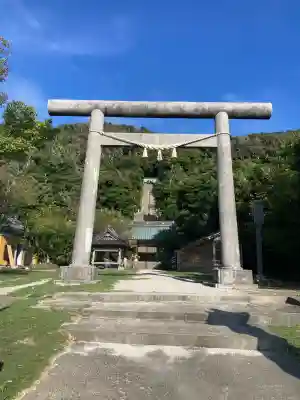 洲崎神社の{uncategorized: "未分類", other: "その他", undefined: "問題あり", building: "その他建物", grave: "お墓", sacred_gate: "鳥居", guardian: "狛犬", statue: "像", buddha: "仏像", history: "歴史", nature: "自然", garden: "庭園", animal: "動物", pagoda: "塔", temizu: "手水舎", mountain_gate: "山門・神門", sanctuary: "本殿・本堂", subordinate: "末社・摂社", art: "芸術", scenery: "景色", jizo: "地蔵", ema: "絵馬", goshuin: "御朱印", omikuji: "おみくじ", items: "授与品その他", amulet: "お守り", goshuincho: "御朱印帳", eats: "食事", festival: "お祭り", votive_dance: "神楽", shichigosan: "七五三参", wedding: "結婚式", experience: "体験その他", initially: "初詣", around: "周辺", anti_infection: "感染症対策"}