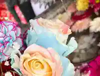 札幌諏訪神社の手水舎