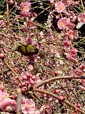 城南宮(京都府)