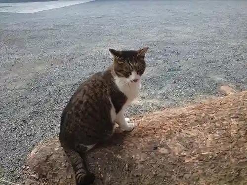 一宮神社の動物