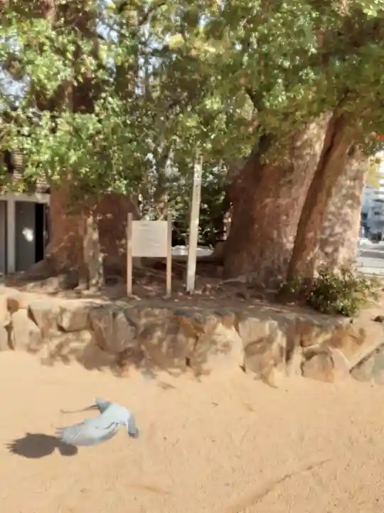 長田神社の自然