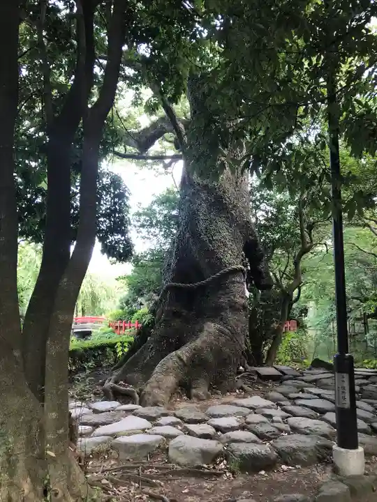 三嶋大社(静岡県)