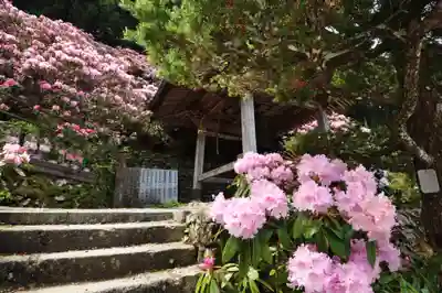 横峰寺(愛媛県)