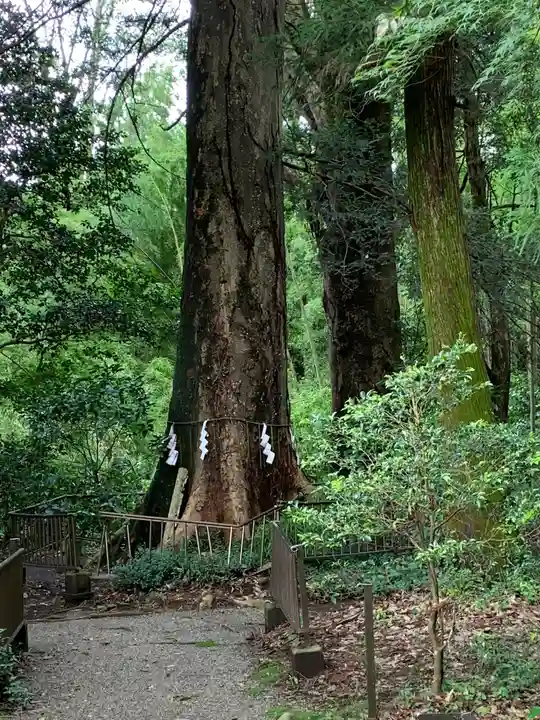 宮原八幡宮(栃木県)