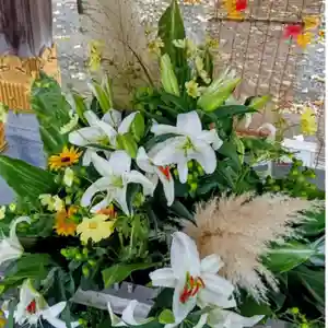 彌彦神社 (伊夜日子神社)(北海道)(2025年10月22日(水) 11時37分08秒投稿)