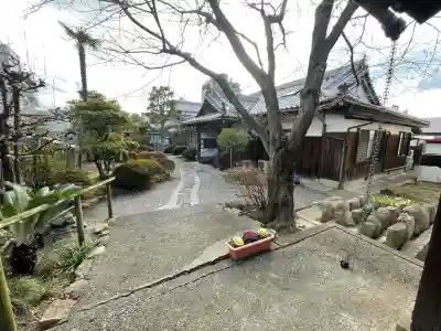 清久寺の{uncategorized: "未分類", other: "その他", undefined: "問題あり", building: "その他建物", grave: "お墓", sacred_gate: "鳥居", guardian: "狛犬", statue: "像", buddha: "仏像", history: "歴史", nature: "自然", garden: "庭園", animal: "動物", pagoda: "塔", temizu: "手水舎", mountain_gate: "山門・神門", sanctuary: "本殿・本堂", subordinate: "末社・摂社", art: "芸術", scenery: "景色", jizo: "地蔵", ema: "絵馬", goshuin: "御朱印", omikuji: "おみくじ", items: "授与品その他", amulet: "お守り", goshuincho: "御朱印帳", eats: "食事", festival: "お祭り", votive_dance: "神楽", shichigosan: "七五三参", wedding: "結婚式", experience: "体験その他", initially: "初詣", around: "周辺", anti_infection: "感染症対策"}