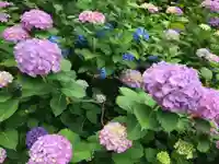 金剛輪寺(滋賀県)