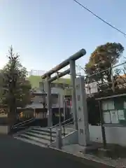 桜神宮の鳥居