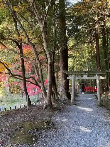 出雲大神宮(京都府)