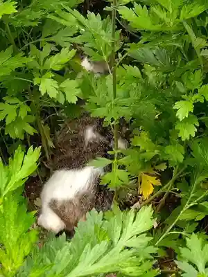 円通寺(埼玉県)