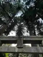 大宮温泉神社(栃木県)