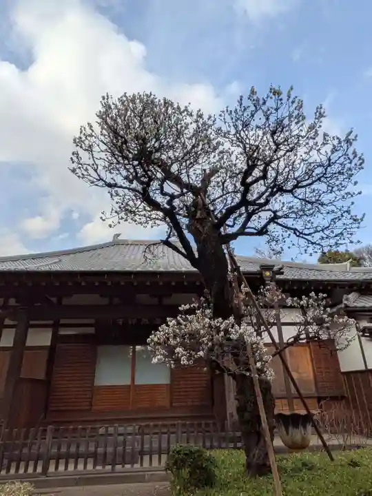 西照寺(東京都)