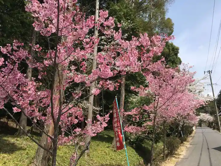 敢國神社の自然