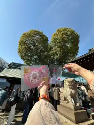 南宮宇佐八幡神社（脇浜神社）の{uncategorized: "未分類", other: "その他", undefined: "問題あり", building: "その他建物", grave: "お墓", sacred_gate: "鳥居", guardian: "狛犬", statue: "像", buddha: "仏像", history: "歴史", nature: "自然", garden: "庭園", animal: "動物", pagoda: "塔", temizu: "手水舎", mountain_gate: "山門・神門", sanctuary: "本殿・本堂", subordinate: "末社・摂社", art: "芸術", scenery: "景色", jizo: "地蔵", ema: "絵馬", goshuin: "御朱印", omikuji: "おみくじ", items: "授与品その他", amulet: "お守り", goshuincho: "御朱印帳", eats: "食事", festival: "お祭り", votive_dance: "神楽", shichigosan: "七五三参", wedding: "結婚式", experience: "体験その他", initially: "初詣", around: "周辺", anti_infection: "感染症対策"}