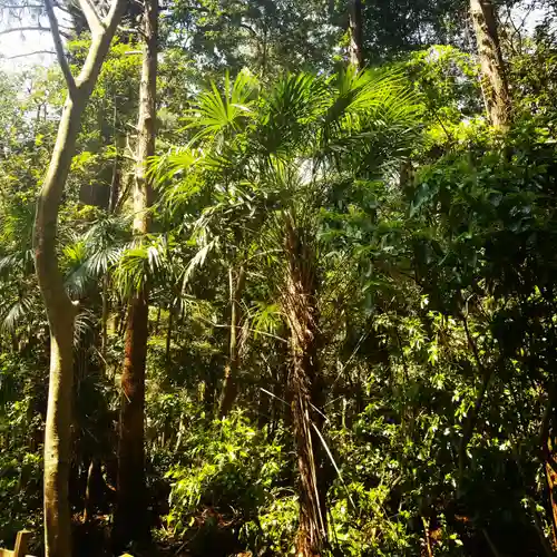 鹿島神宮の自然
