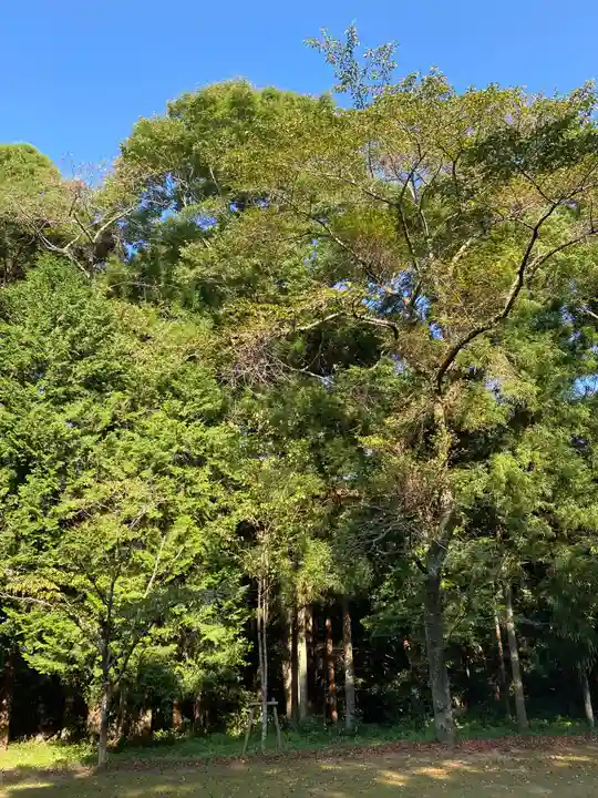 香取神宮の自然