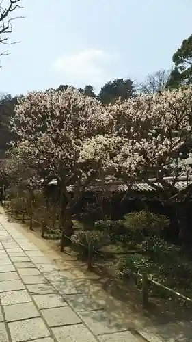 東慶寺の庭園