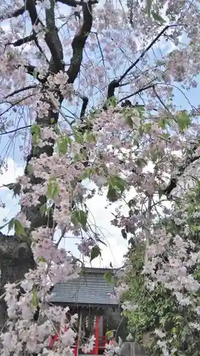 安楽寺天満宮の自然