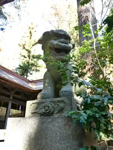 矢彦神社の狛犬