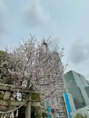 居木神社(東京都)