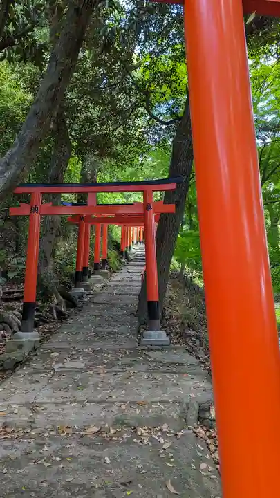 賀茂別雷神社(上賀茂神社)(京都府)