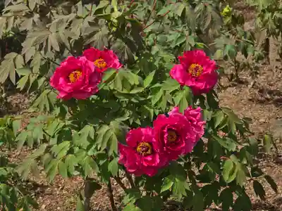 月輪院(奈良県)