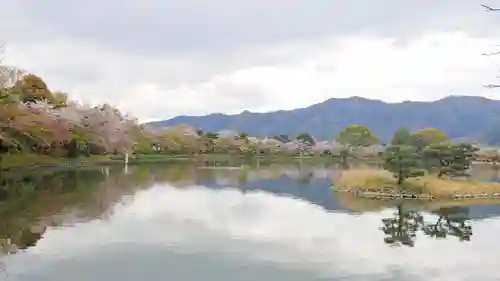 大覚寺の景色