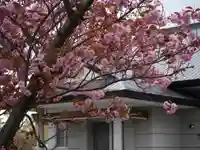 極楽山 浄土寺の自然