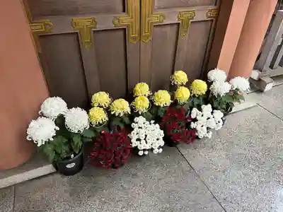 東京大神宮(東京都)