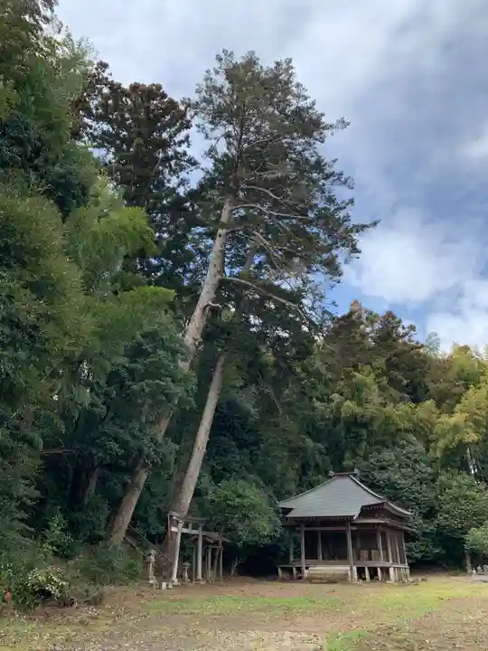 稲荷神社(千葉県)