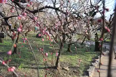 北野天満宮(京都府)