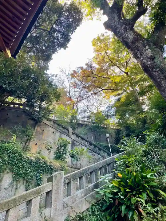 江島神社の自然