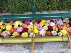 伊和志津神社の手水