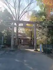 阿蘇神社(東京都)