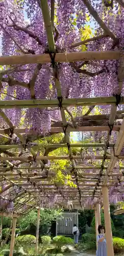 金蛇水神社の庭園