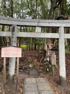 出雲大社(島根県)