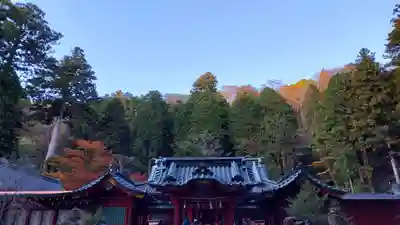 箱根神社(神奈川県)