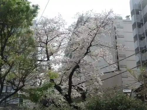 大井蔵王権現神社(東京都)