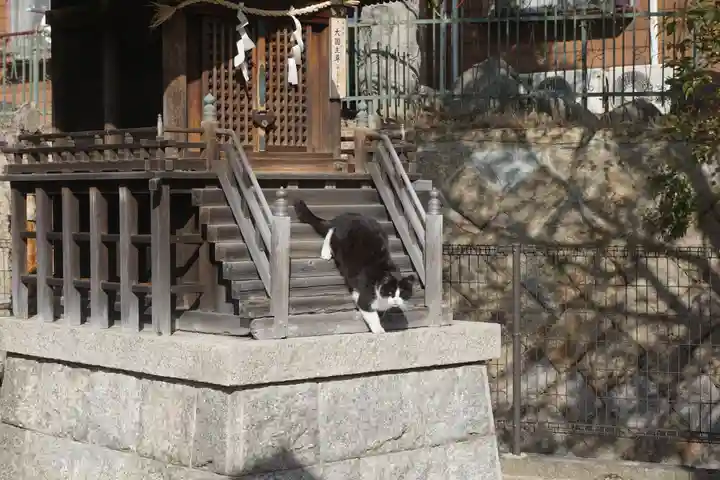 五宮神社の動物