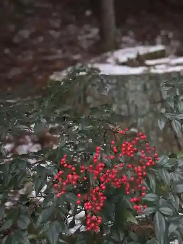 鹿島大神宮(福島県)