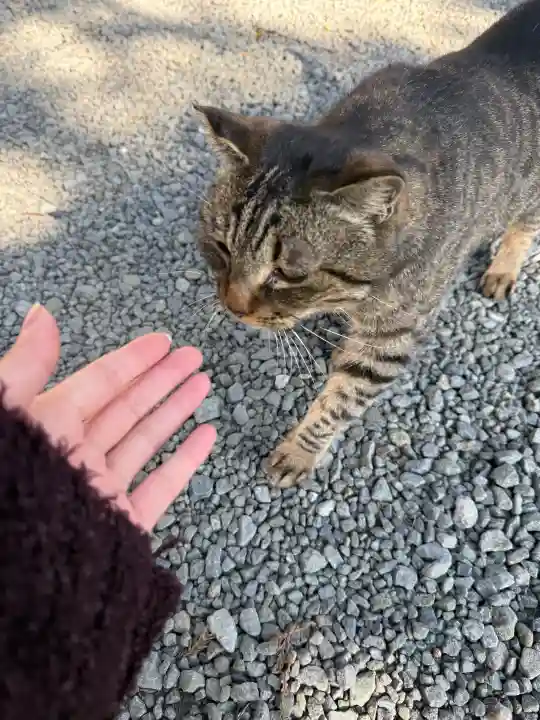 上岩出神社の{uncategorized: "未分類", other: "その他", undefined: "問題あり", building: "その他建物", grave: "お墓", sacred_gate: "鳥居", guardian: "狛犬", statue: "像", buddha: "仏像", history: "歴史", nature: "自然", garden: "庭園", animal: "動物", pagoda: "塔", temizu: "手水舎", mountain_gate: "山門・神門", sanctuary: "本殿・本堂", subordinate: "末社・摂社", art: "芸術", scenery: "景色", jizo: "地蔵", ema: "絵馬", goshuin: "御朱印", omikuji: "おみくじ", items: "授与品その他", amulet: "お守り", goshuincho: "御朱印帳", eats: "食事", festival: "お祭り", votive_dance: "神楽", shichigosan: "七五三参", wedding: "結婚式", experience: "体験その他", initially: "初詣", around: "周辺", anti_infection: "感染症対策"}