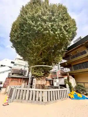 櫛田神社(福岡県)